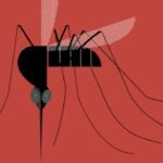 3 Signs It's Time to Start Worrying About a Mosquito Bite