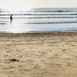 30+ Yoga Travel Experiences to Realign Your Chakras