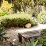 A rustic wooden picnic table sits under a tree in a garden with lush green plants and shrubs. A hanging pendant light is above the table.