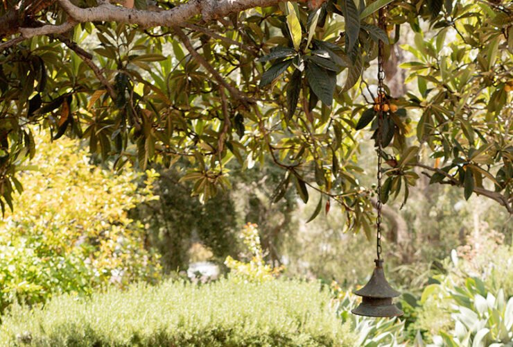 A rustic wooden picnic table sits under a tree in a garden with lush green plants and shrubs. A hanging pendant light is above the table.