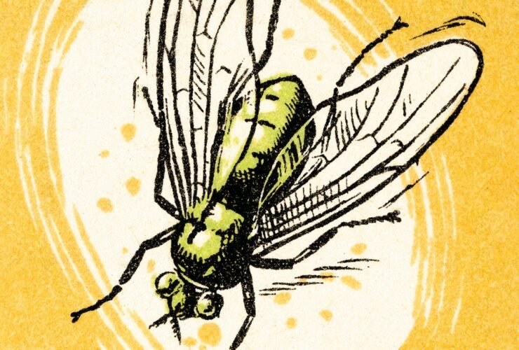 Can Pimple Patches Really Help Treat Mosquito Bites?