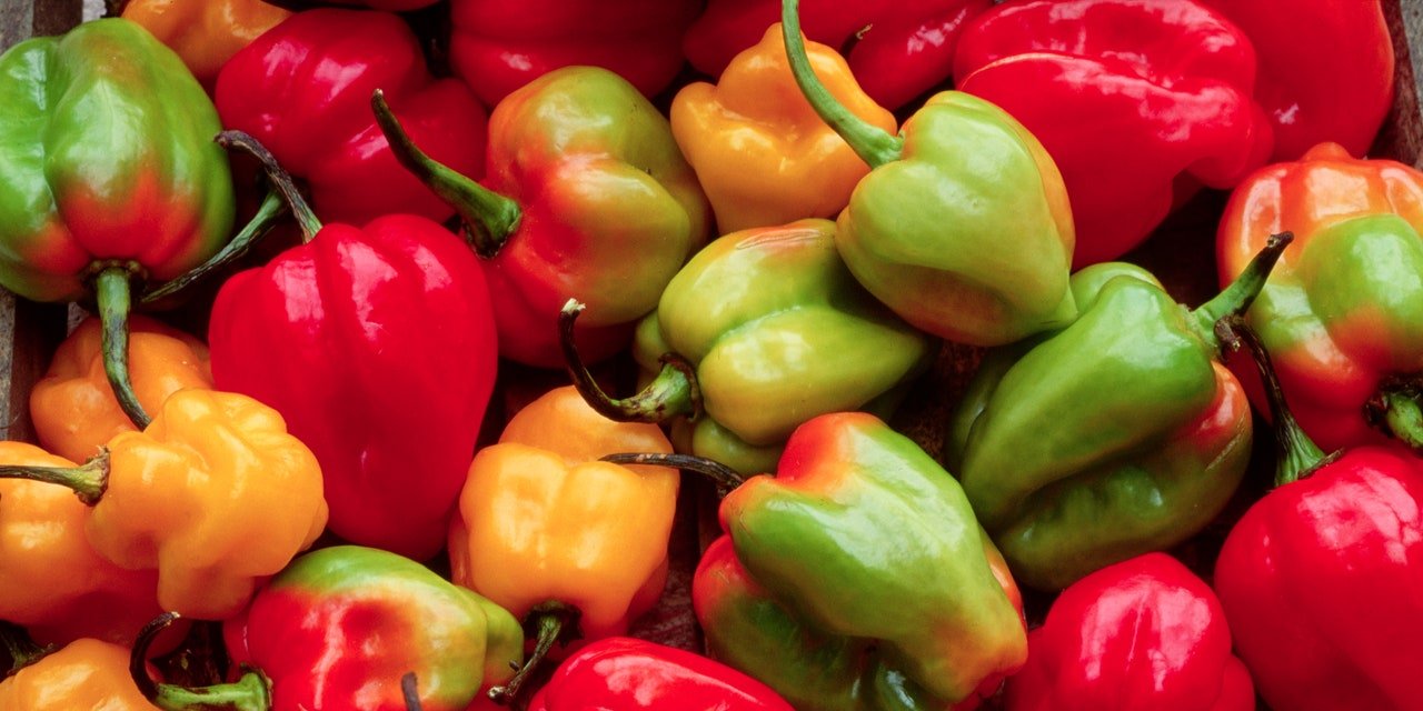 Cucumbers, Peppers, and a Bunch of Other Veggies Were Just Recalled Due to Listeria Concerns