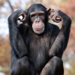 Dealing With People Who Don’t Listen!