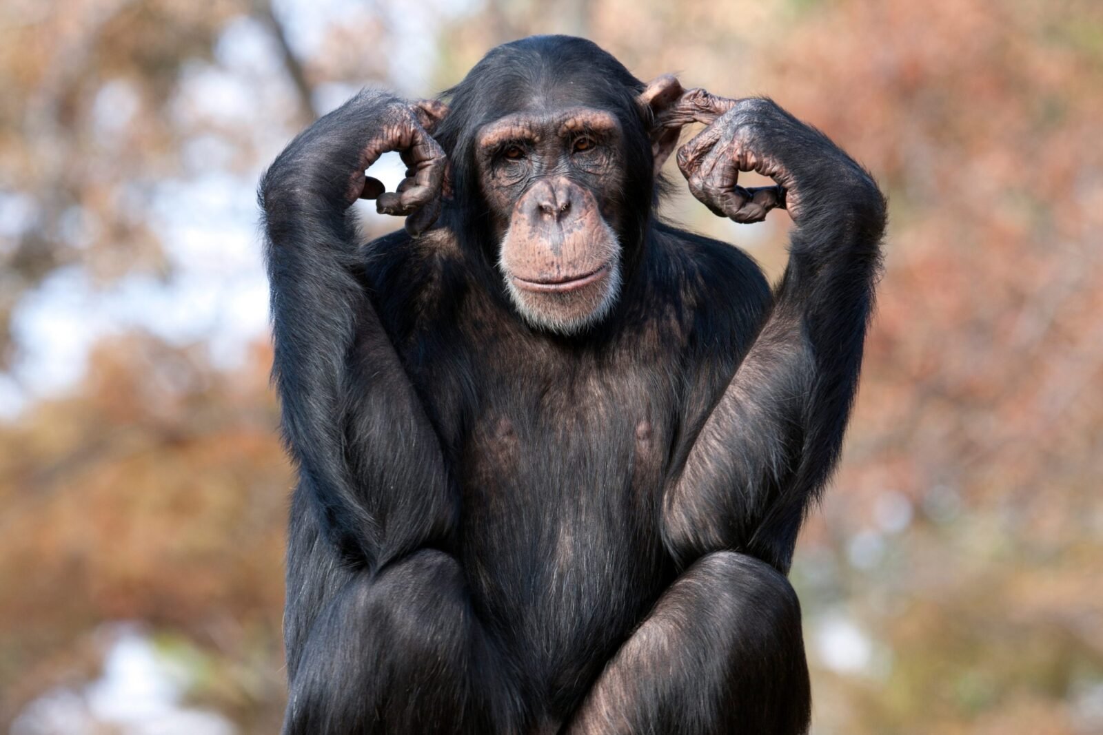 Dealing With People Who Don’t Listen!