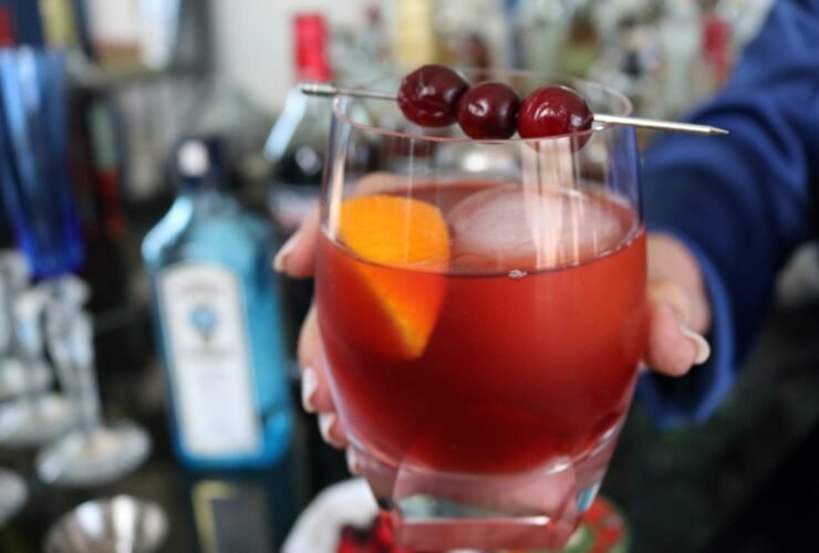 Fran’s Guide to Crafting the Perfect Cranberry Gin Cocktail