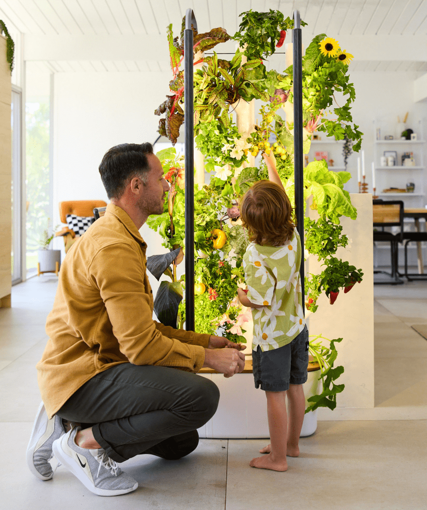 Image of father with son looking at an indoor garden