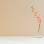 My Morning Routine - zen habits zen habits