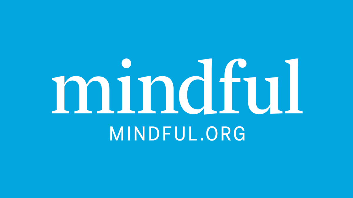 Terms and Conditions - Mindful