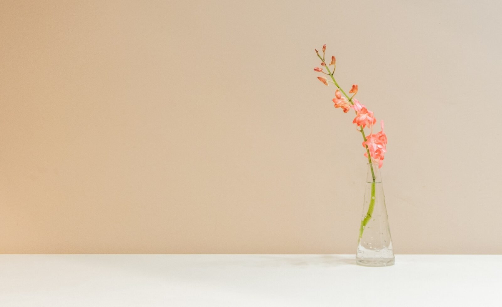 The Possibility of Slowing Down