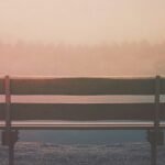We’re Pausing the Weekly Pulse (Productive Flourishing Pulse #479)