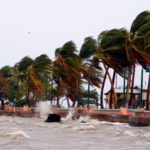 What You Need to Know about Traveling During Hurricane Season This Summer – Black Girl Nerds