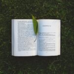 Why a Passion for Learning Is Essential – Life Optimizer