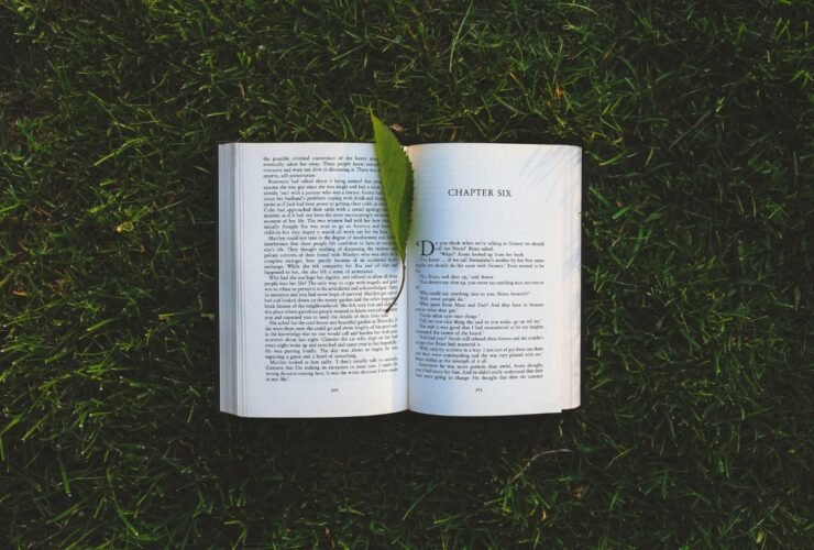 Why a Passion for Learning Is Essential – Life Optimizer