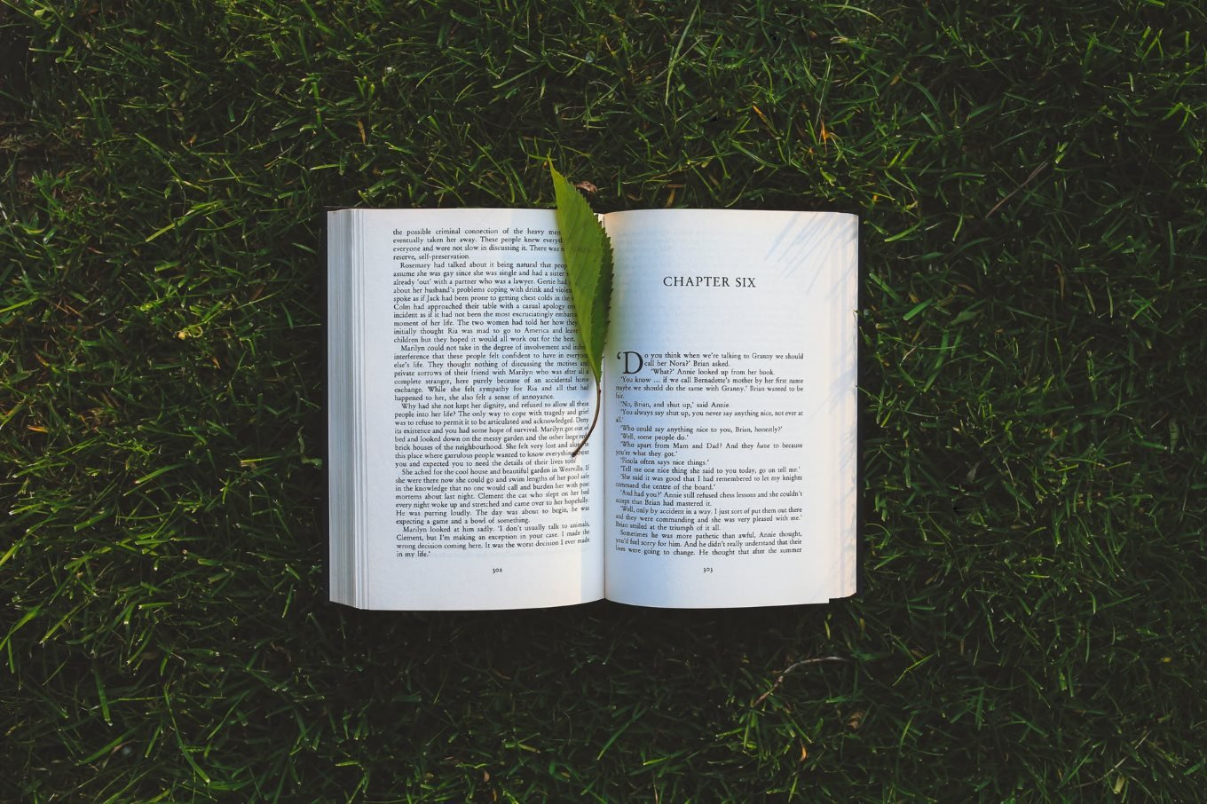 Why a Passion for Learning Is Essential – Life Optimizer