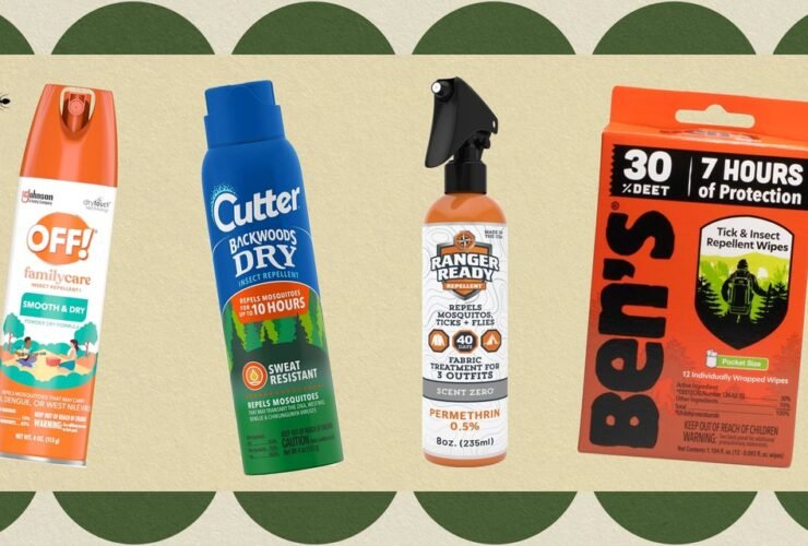 6 Best Bug Sprays, Lotions and Wipes in 2024