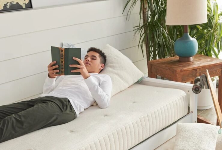 A person lies on a twin bed reading a book, with a trundle bed below, next to a wooden nightstand and a potted plant.
