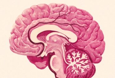 The Surprising Risk Factor for Dementia That Has Nothing to Do With Diet or Exercise