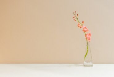 The Surprising Value of Rest